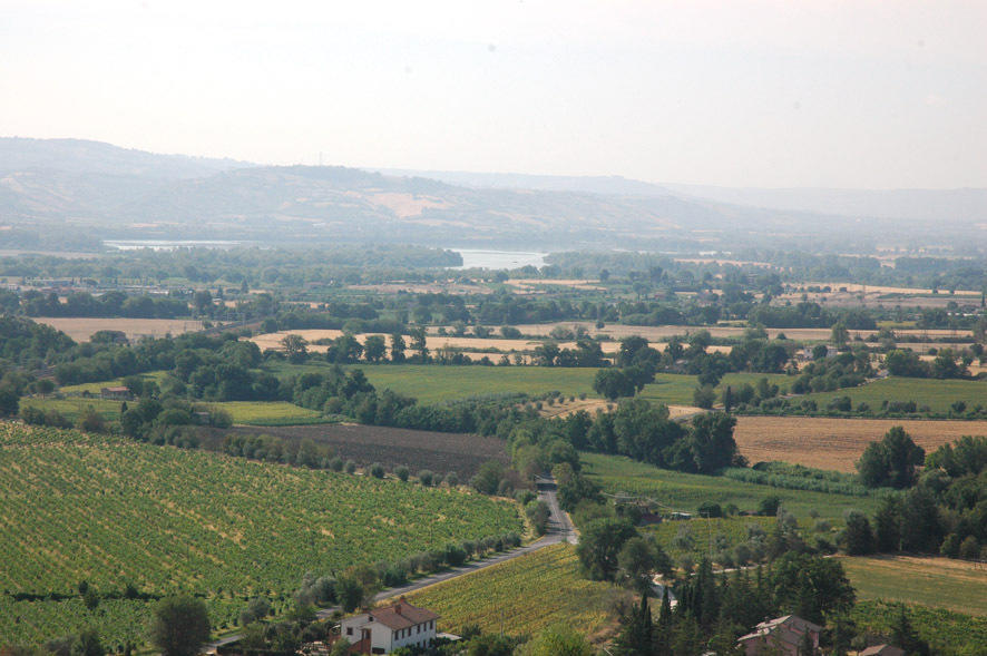 Casa Mimmo Villa Castiglione In Teverina Szoba fotó
